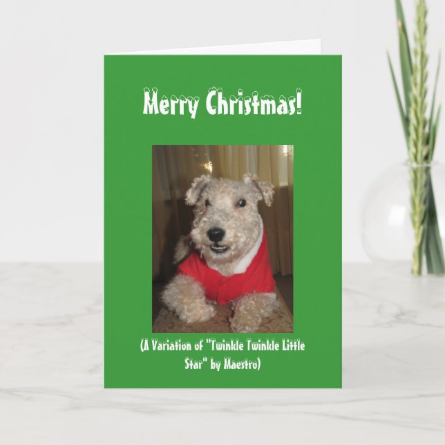 Maestro the Lakeland Terrier Christmas Cards (Front)