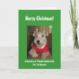 Maestro the Lakeland Terrier Christmas Cards