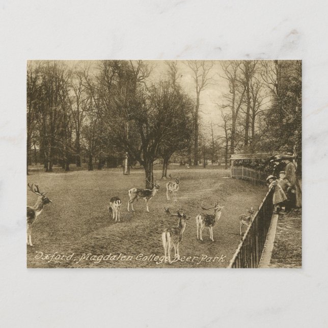Magdalen College, Oxford, England Vintage Postcard (Front)