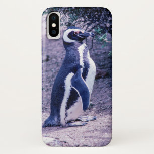 Magellanic Penguin in Peninsula Valdes - Argentina iPhone X Case
