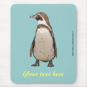 Magellanic Penguin Mousepad