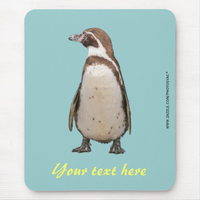Magellanic Penguin Mousepad (Front)