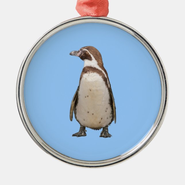 Magellanic Penguin Ornament (Front)