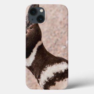 Magellanic Penguin, Patagonia, Argentina iPhone 13 Case