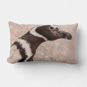 Magellanic Penguin, Patagonia, Argentina Lumbar Cushion