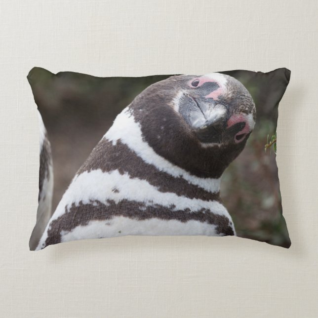 Magellanic Penguin Portrait Decorative Cushion (Front)
