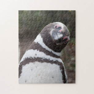 Magellanic Penguin Portrait Jigsaw Puzzle