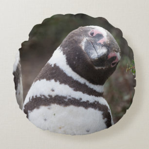 Magellanic Penguin Portrait Round Cushion