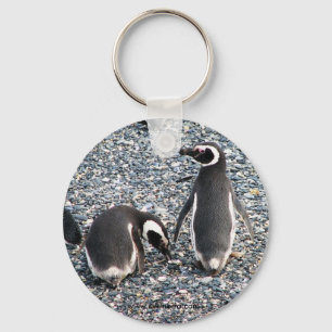 Magellanic Penguins, Beagle Channel, Patagonia Key Ring