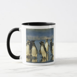 Magellanic Penguins, Spheniscus Mug
