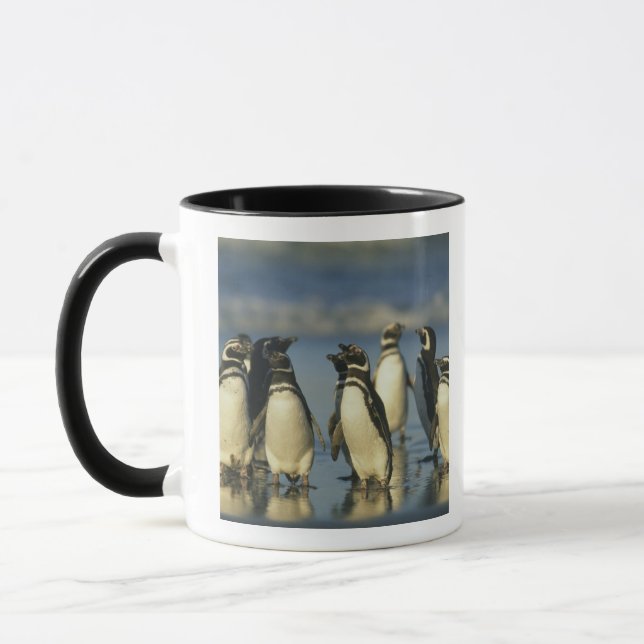 Magellanic Penguins, Spheniscus Mug (Left)