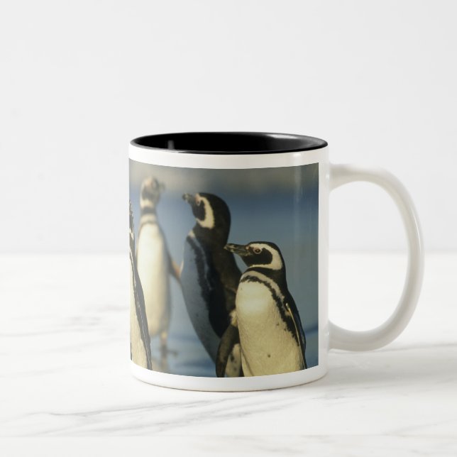 Magellanic Penguins, Spheniscus Two-Tone Coffee Mug (Right)