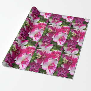 Magenta and white petunias wrapping paper