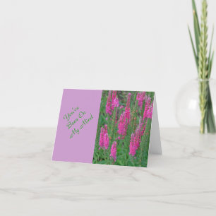 MAGENTA COLORED LUPINE FLOWER CARD