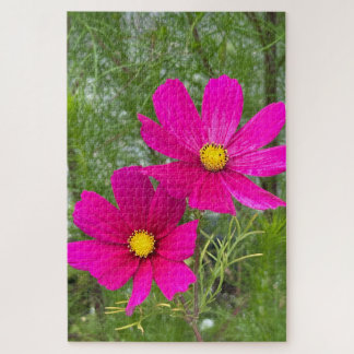Magenta Cosmos, Quebec City Jigsaw Puzzle