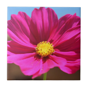 Magenta Flower Ceramic Tile