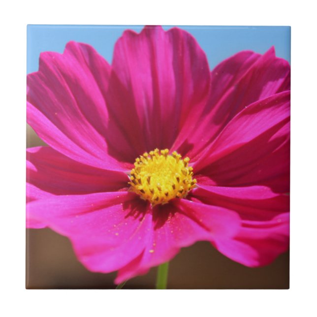 Magenta Flower Ceramic Tile (Front)