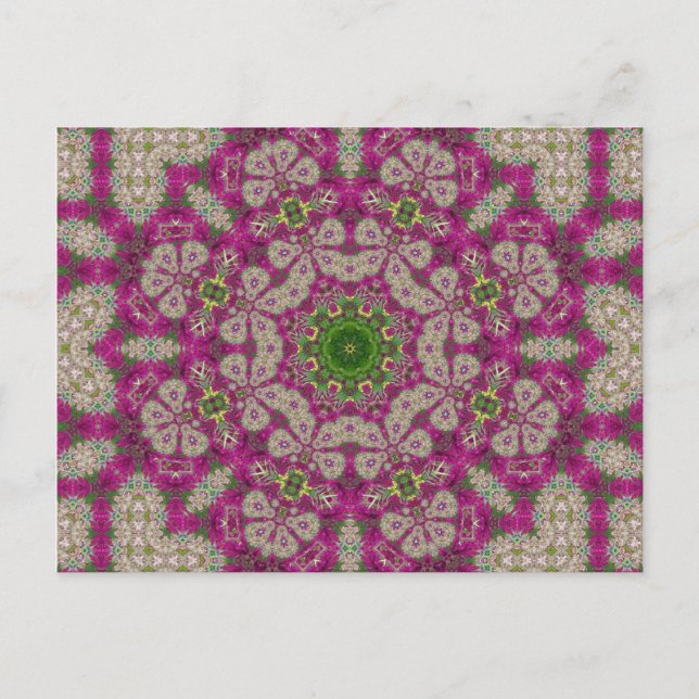 Magenta Flowers Lace Mandala Postcard (Front)
