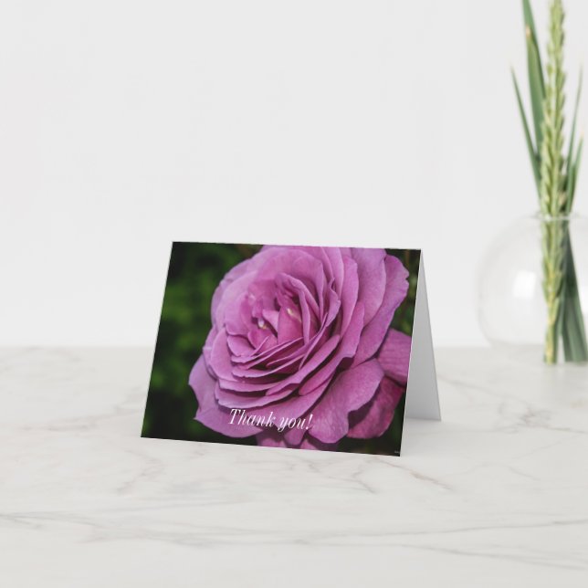 Magenta Garden Rose Thank You Card (Front)