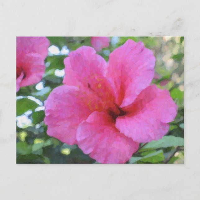 Magenta Hibiscus Postcard (Front)