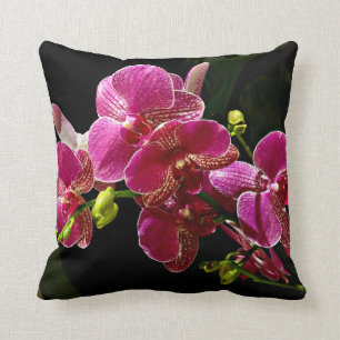 Magenta Orchids in Bloom Cushion