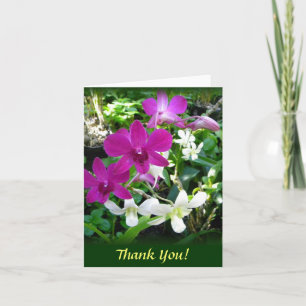Magenta Orchids Thank You Card