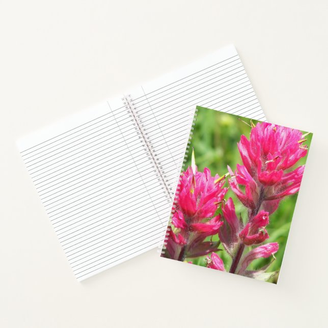 Magenta Paintbrush Blooms Floral Notebook (Inside)