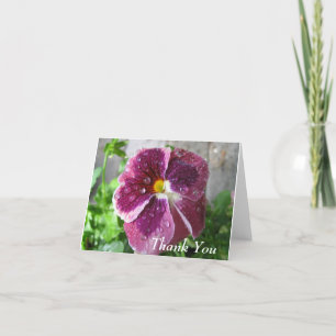 Magenta Pansy Thank You Card