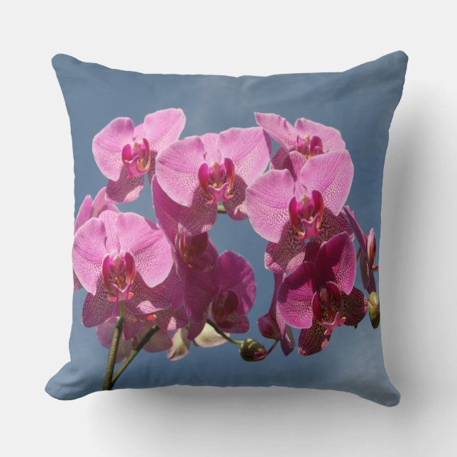 Magenta Phalaenopsis Orchids Against Blue Sky Cushion (Front)
