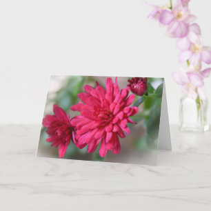 Magenta Pink Mum Flowers Art Note Card
