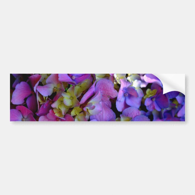 Magenta Purple blue yellow Hydrangeas flowers Bumper Sticker (Front)