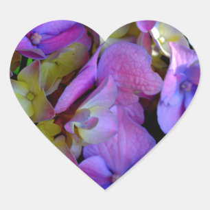 Magenta Purple blue yellow Hydrangeas flowers Heart Sticker