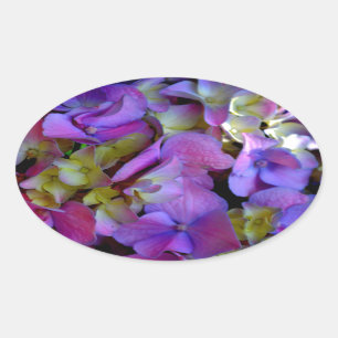 Magenta Purple blue yellow Hydrangeas flowers Oval Sticker