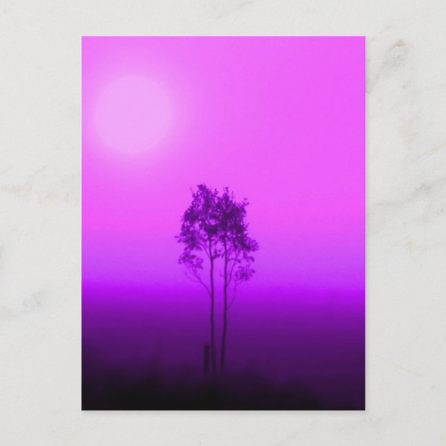 Magenta Trees Postcard (Front)