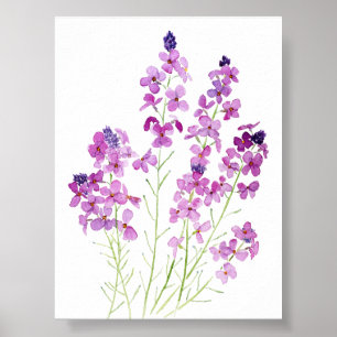 magenta wallflowers watercolor  poster