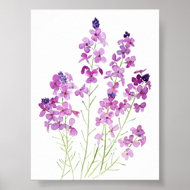 magenta wallflowers watercolor  poster (Front)