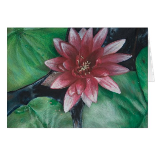 Magenta water lily card