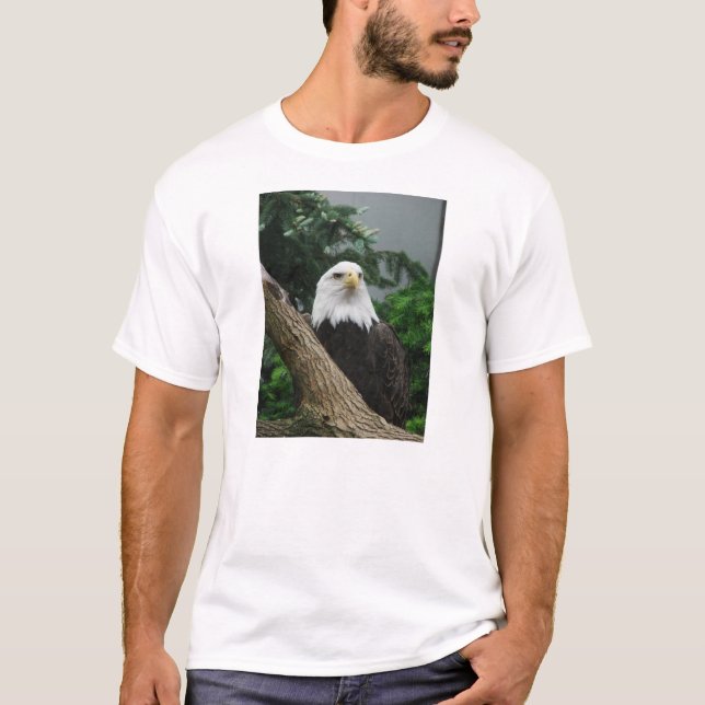 magestic bald eagle resting in tree T-Shirt (Front)
