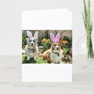 Maggie & Chuck Holiday Card