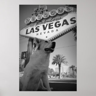 Maggie - Las Vegas Sign