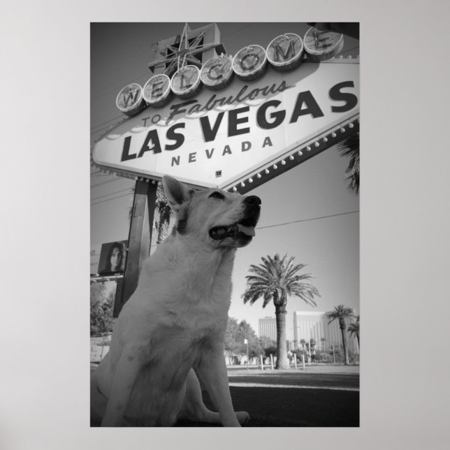 Maggie - Las Vegas Sign (Front)