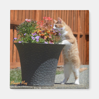 Maggie May & Flowers Magnet