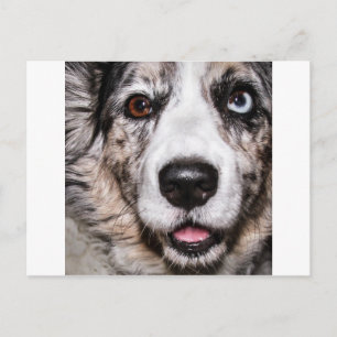 Maggie Postcard