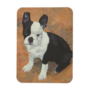 Maggie's Spirit Magnet