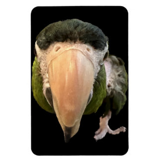 magic beakysnooter magnet