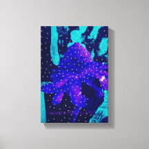 Magic Blue Rose Reading News