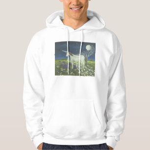 Magic Hoodie