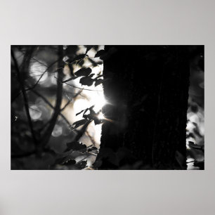 Magic Hour Sunrise Among The Trees Poster