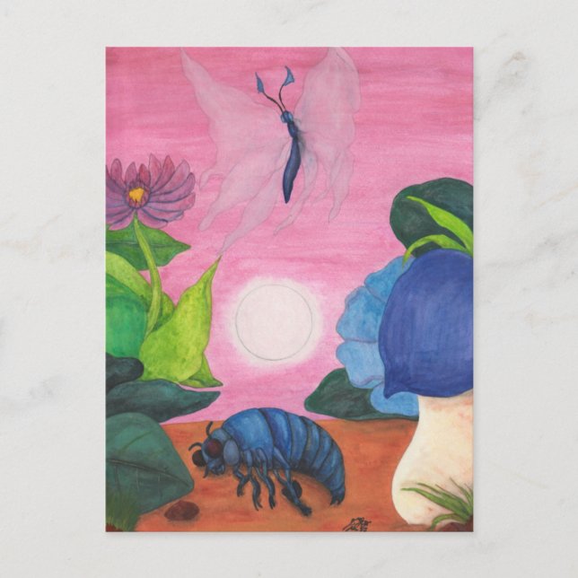 Magic Insect Butterfly Transformation Illustration Postcard (Front)