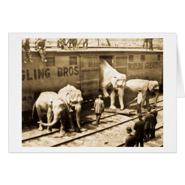 Magic Lantern Slide Ringling Bros Elephant Train (Front Horizontal)